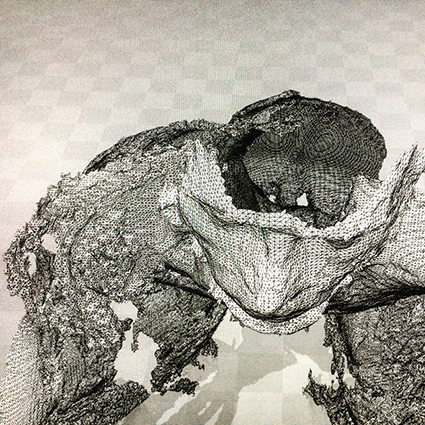 Interrupted 3D scan by artist Paul Coombs